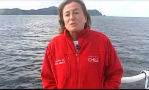 Formulación de cargos de la CNTV por atentar contra el derecho a la información