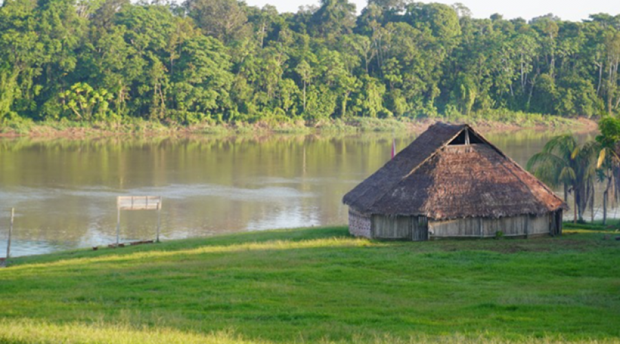Desiertos noticiosos en comunidades indígenas de Madre de Dios y Putumayo