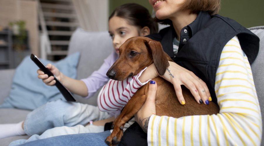 ¿Por qué es importante la Ley de Radio y Televisión en el Perú?