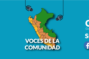 n12-2024 | Voces de la comunidad