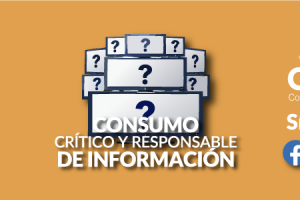 n14-2024 | Consumo crítico y responsable de la información