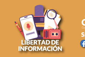 n07-2024 | Libertad de información